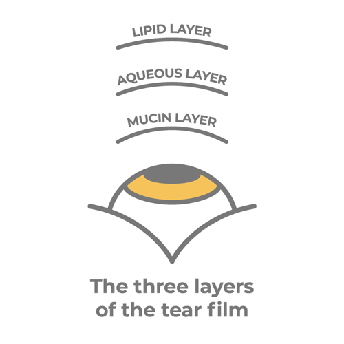 Diagram of the 3 layers of the tear film